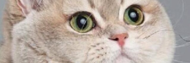NickMos_1's profile banner image