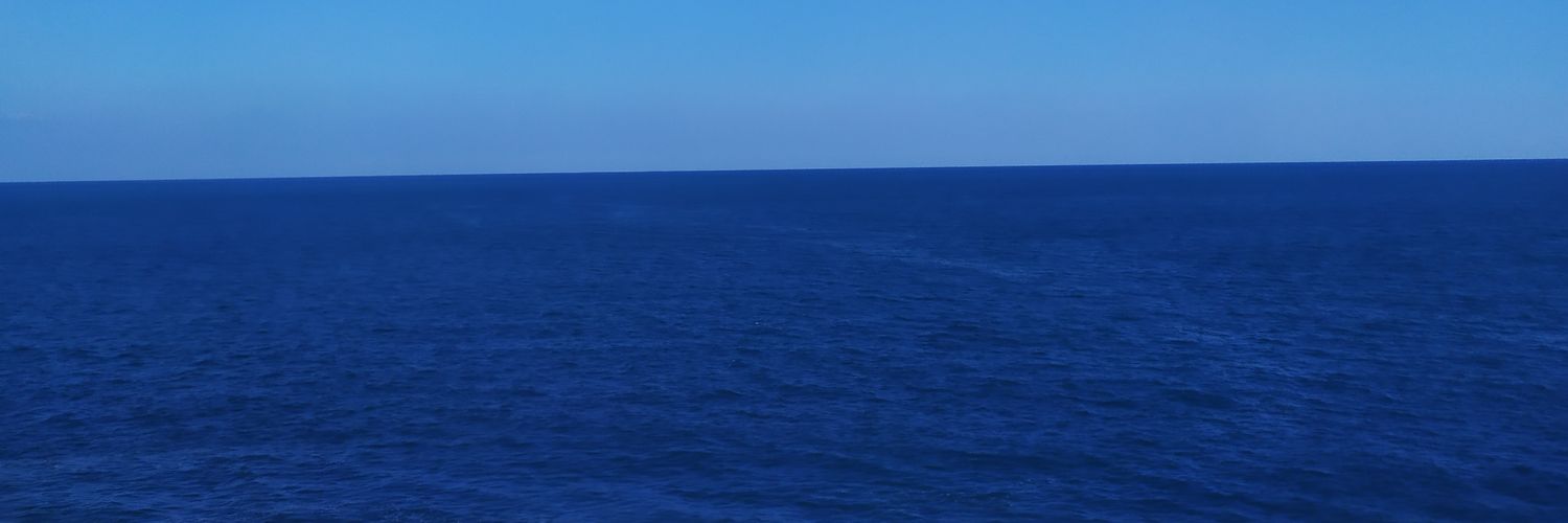 pandemik1ebe's profile banner image