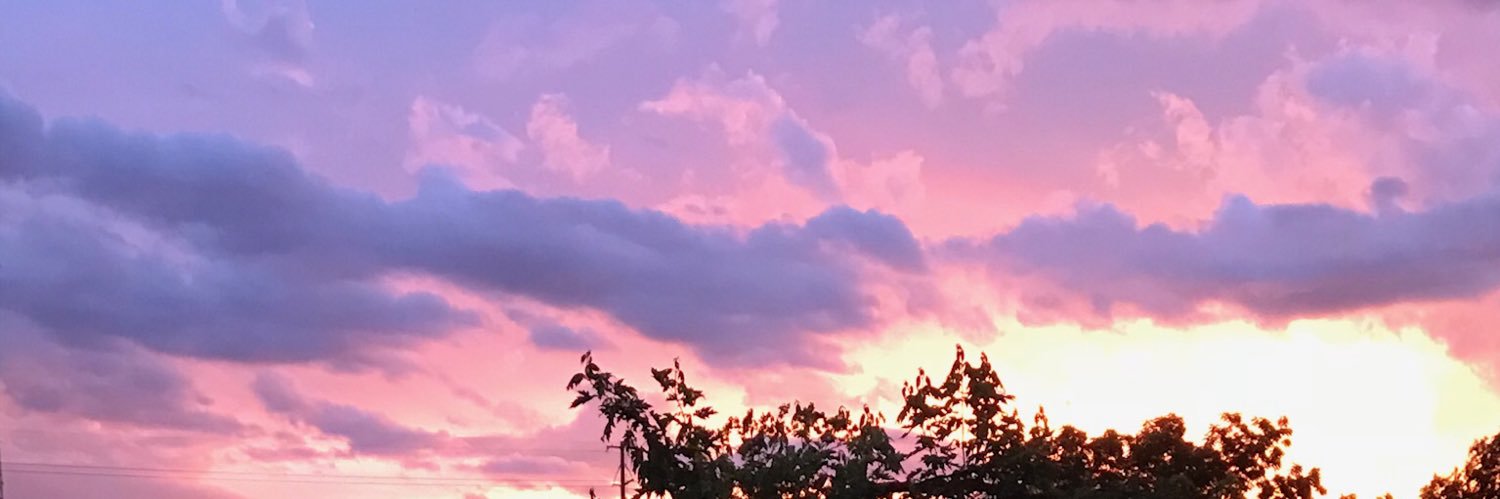 TamBoyd's profile banner image