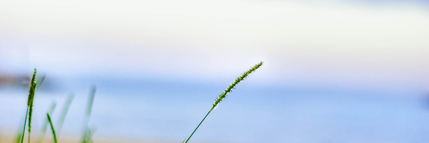 hollertheone's profile banner image