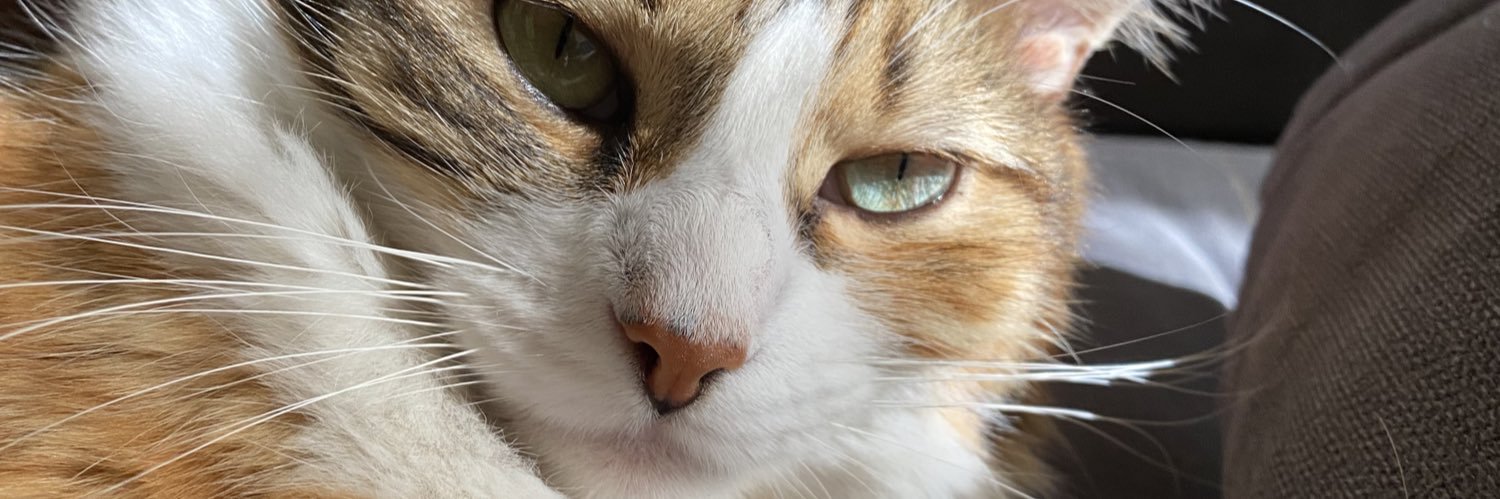 Hey_Im_Alfred's profile banner image