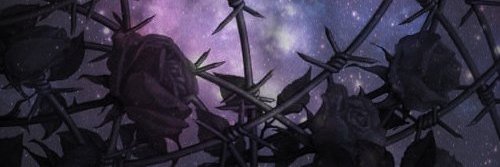 vittermin's profile banner image