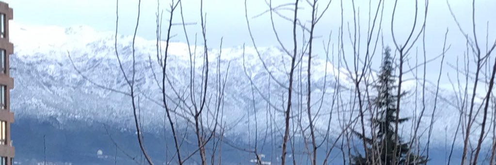 Sandra Sasmay banner