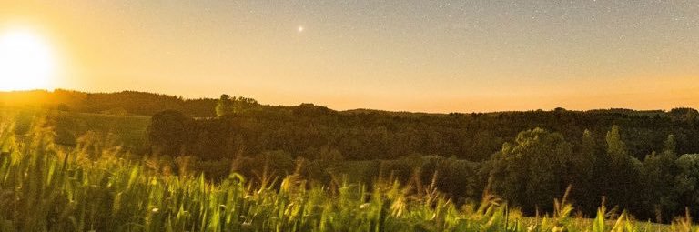 Oliver Paulino banner