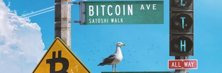 𝔽𝕝𝕒𝕨 ; ssǝl banner