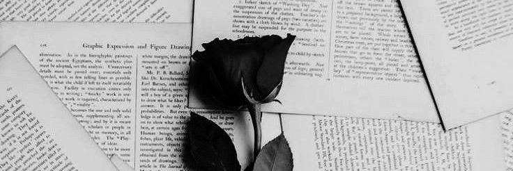 m_m_abdelbaset's profile banner image