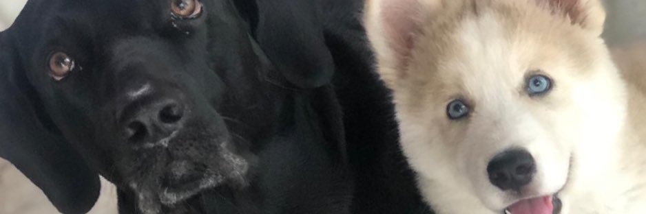 danyperezd17's profile banner image
