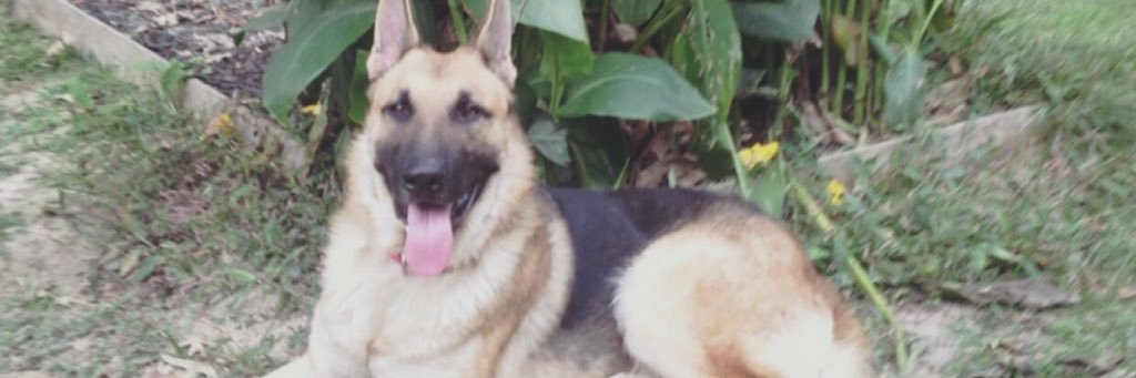 j_me44's profile banner image
