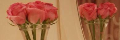 M_SE98's profile banner image