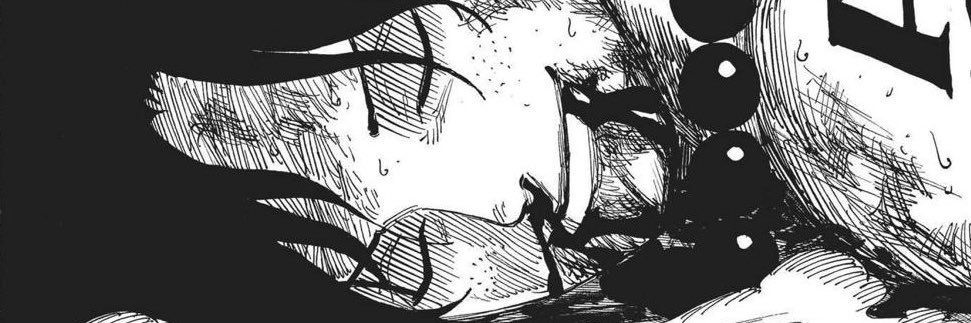 halfdrako's profile banner image
