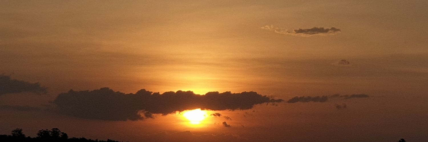 njugupekee's profile banner image