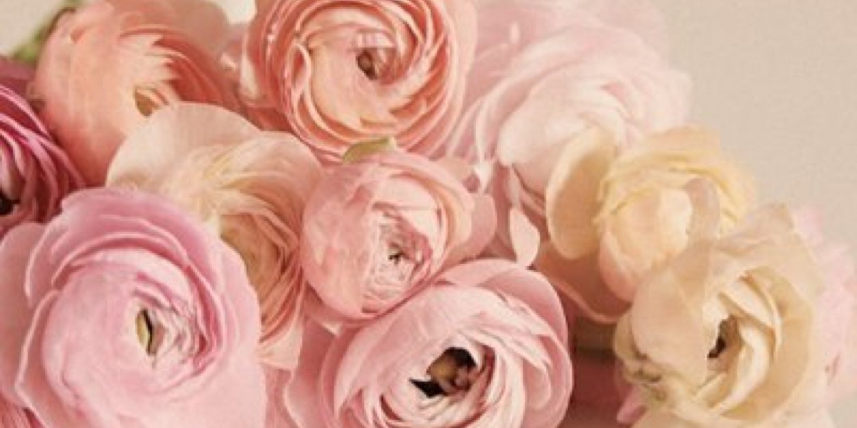 kassiee__'s profile banner image