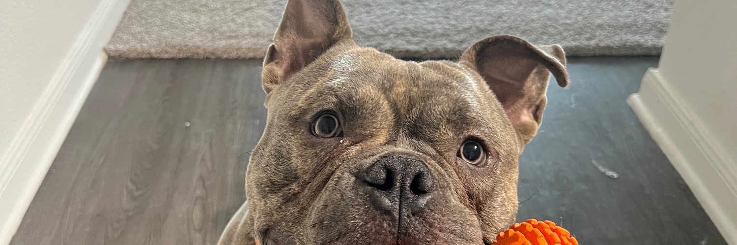 jonathanzelaya_'s profile banner image