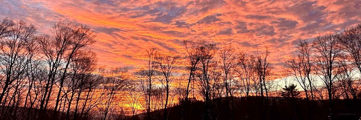 Kalev Freeman banner