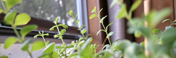 _jeaniemalone Profile Banner