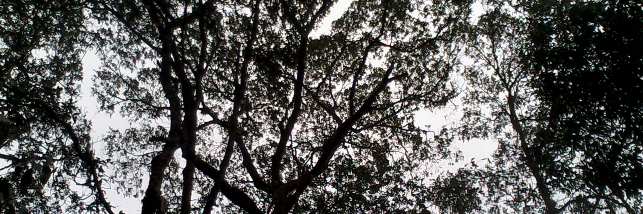 MileCaste08's profile banner image
