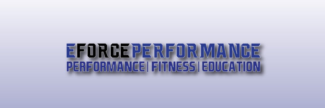 EForce Performance banner