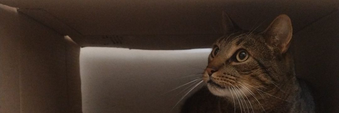 je714's profile banner image