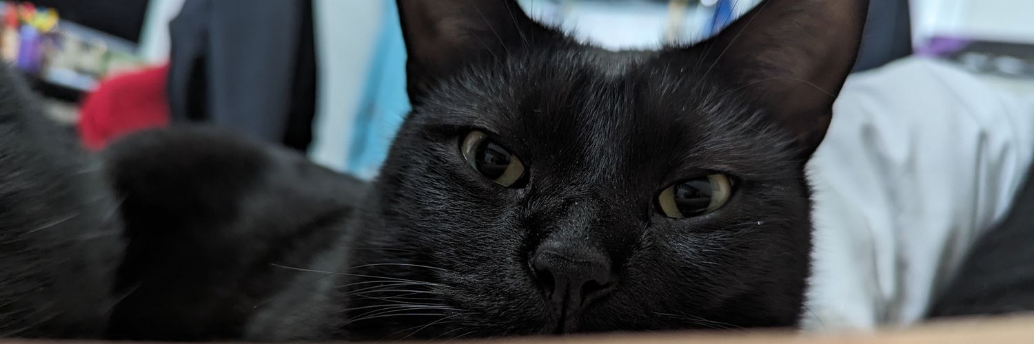 kitanawilde's profile banner image