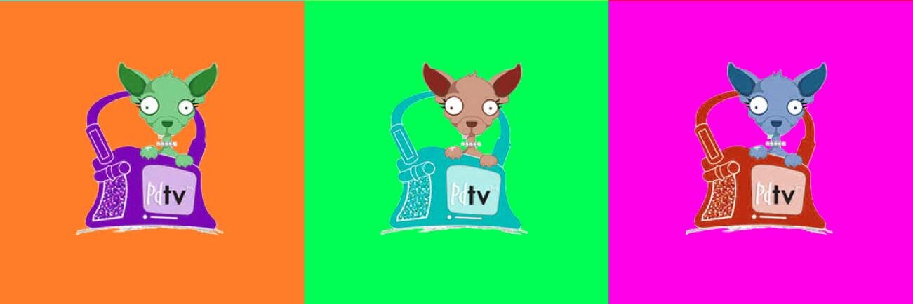 Sandra J. Payne banner