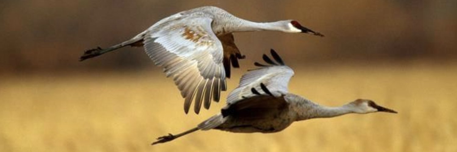 Armenian News Network / Groong 🇦🇲 banner