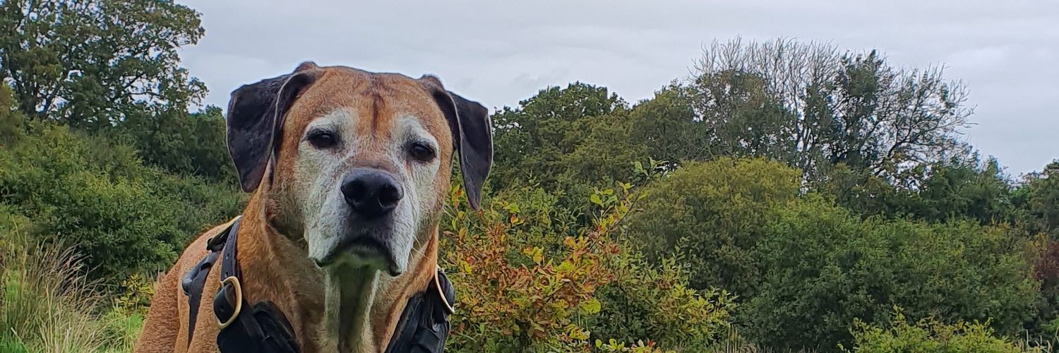 Chadmathiass's profile banner image