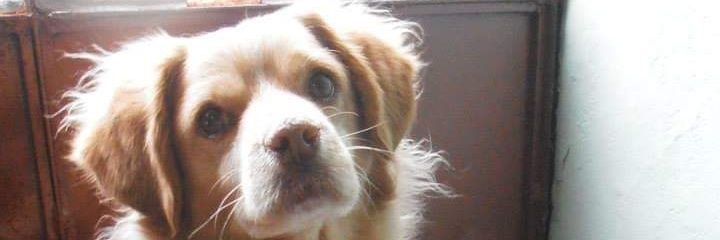 DORATORRES1972's profile banner image