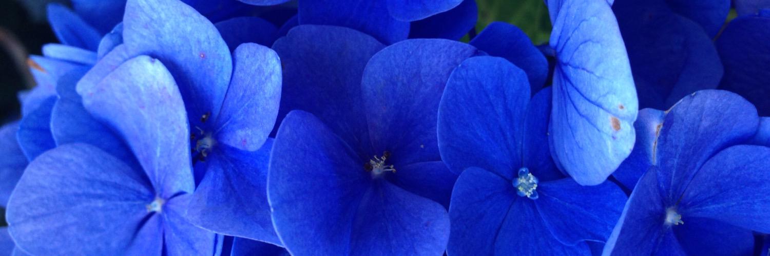 LynziRuffles's profile banner image