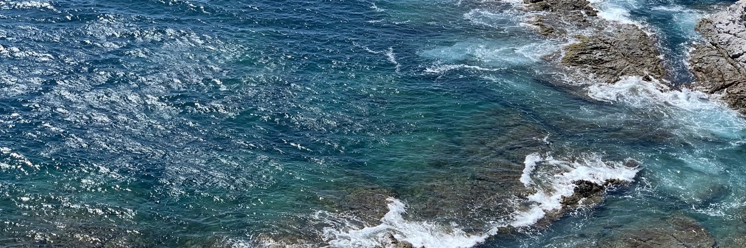 FridaFavela10's profile banner image