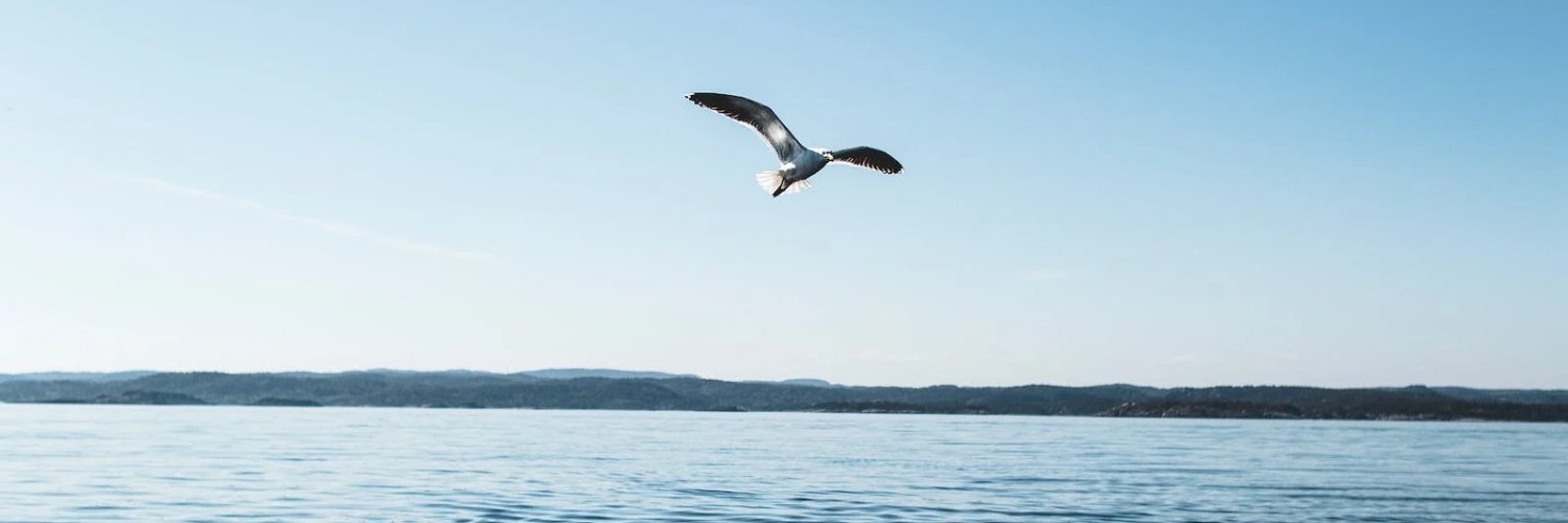 Rick Bouter 🇳🇱 banner