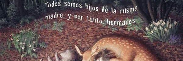 sofiaplazaga's profile banner image