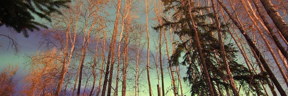 KenzieFlick172's profile banner image