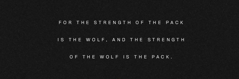 WolfpakPrincess's profile banner image