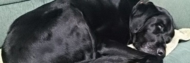 BOOTAR's profile banner image