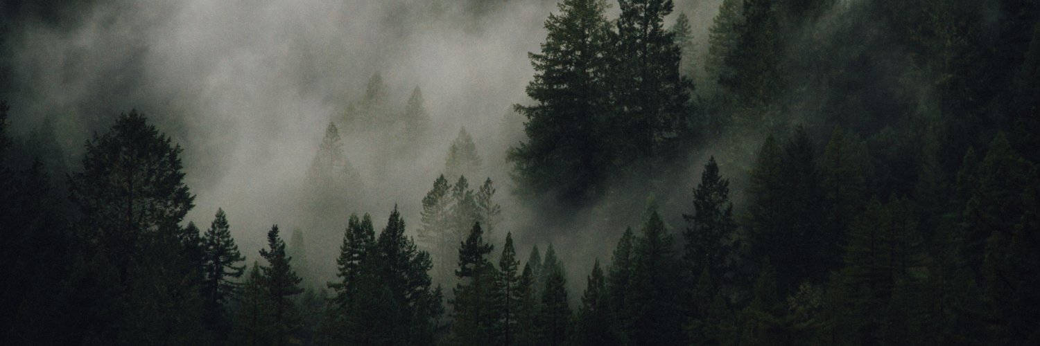 Ashlyn ⚠️思玲 ʕ•́ᴥ•̀ʔっ♡ banner