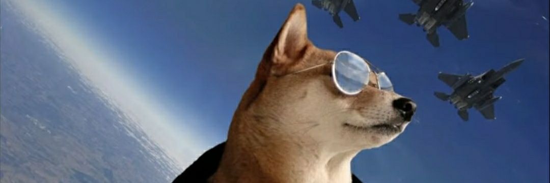ShibArmyCol's profile banner image