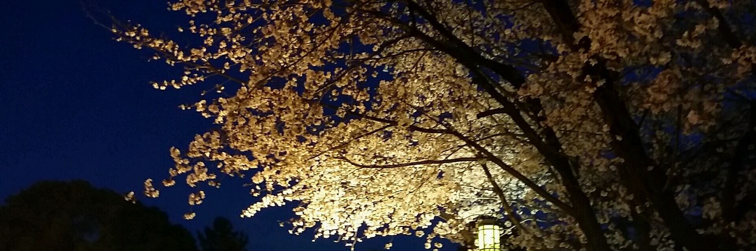 Kmnm514's profile banner image