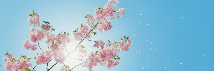 kneee_cold's profile banner image