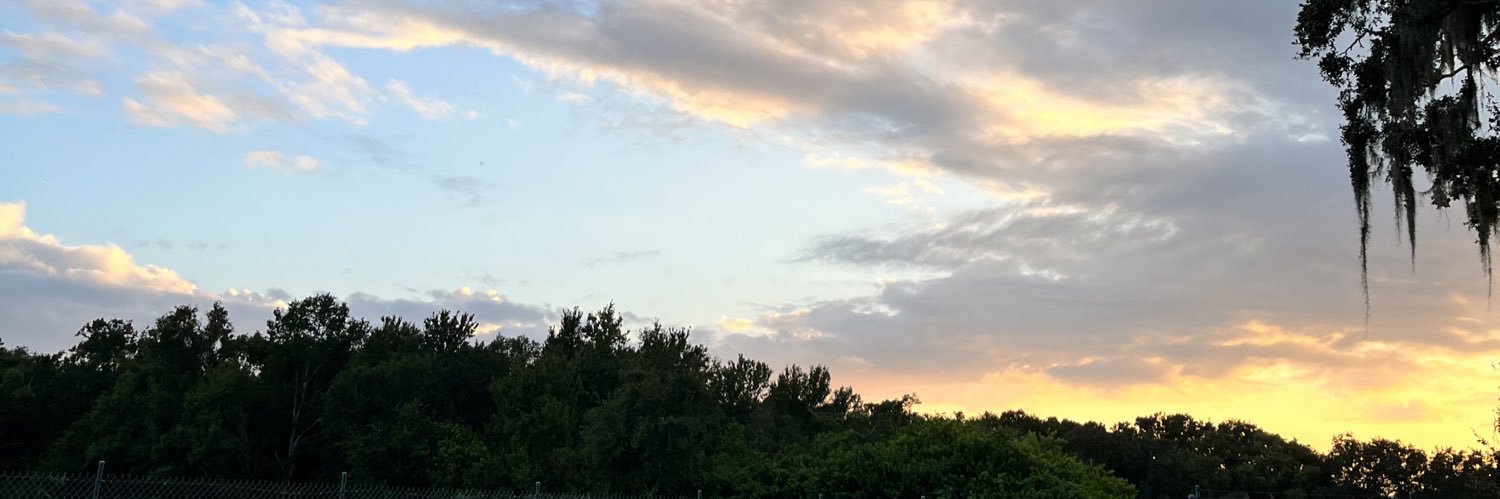 aclwjm's profile banner image