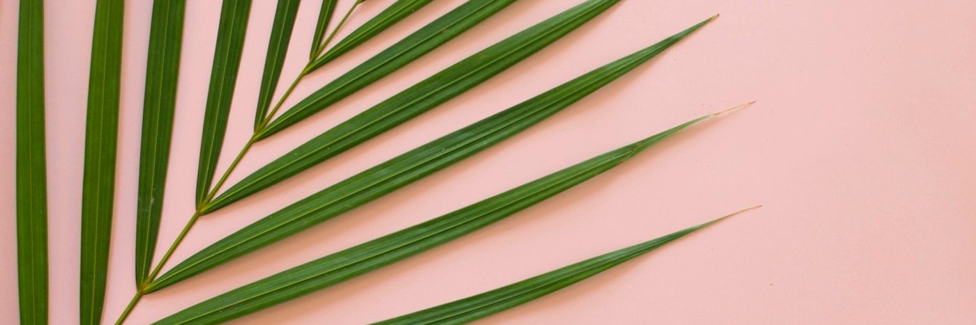 MarielleMo's profile banner image