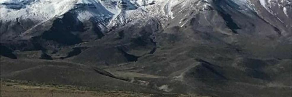 ecaleonard's profile banner image
