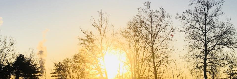welfareKSY's profile banner image