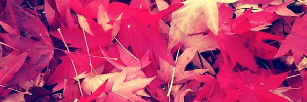 mkaur770 Profile Banner