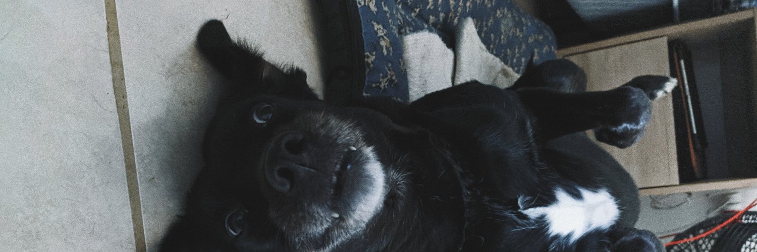 rodswz's profile banner image