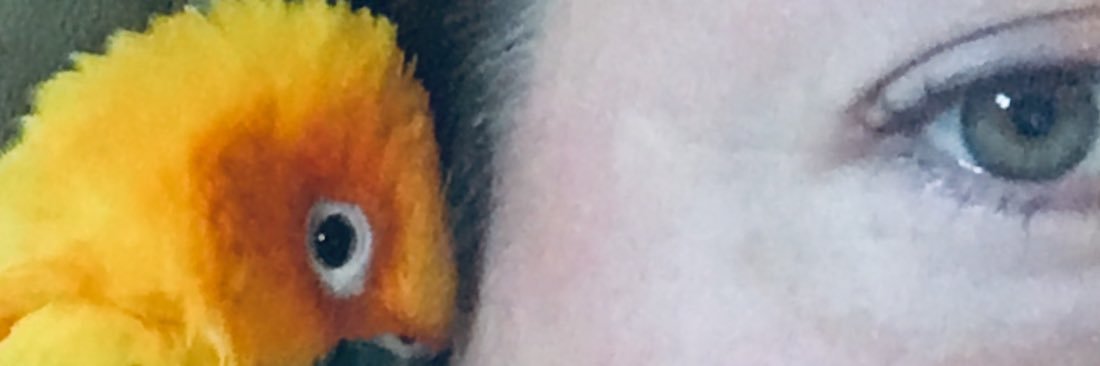 Bella3592's profile banner image
