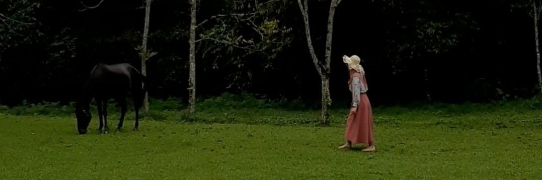 deardania's profile banner image
