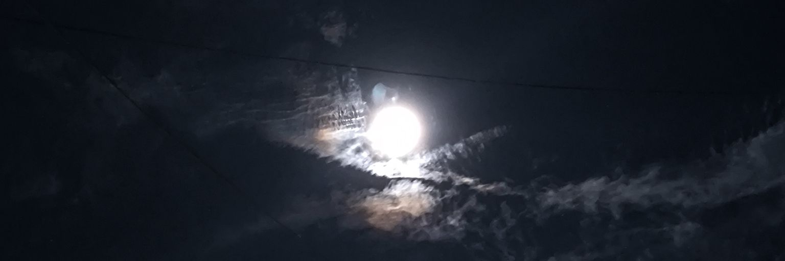 AmigosXXXBGT banner
