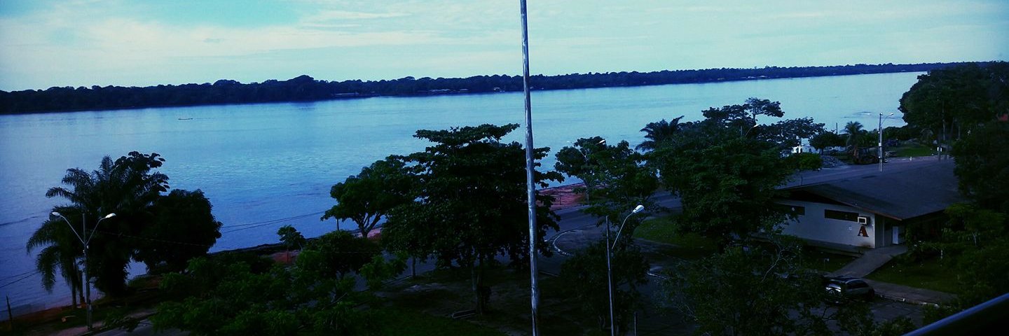 Alecrim Prateado banner