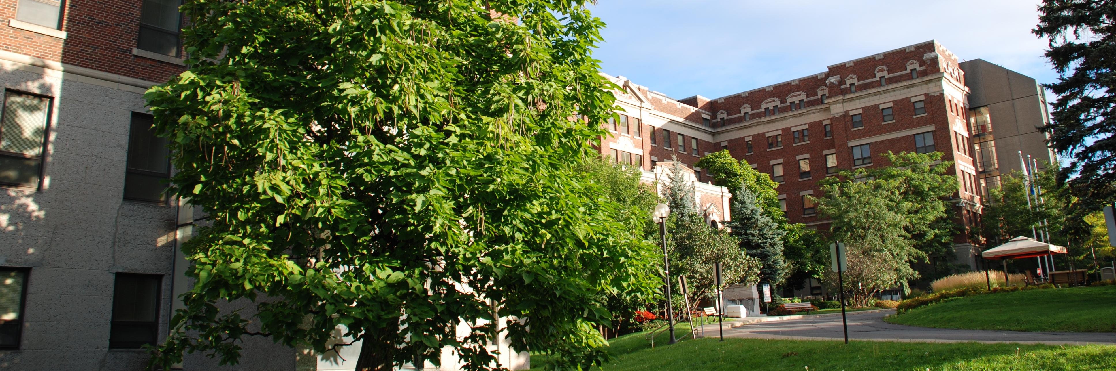 IUGM's profile banner image