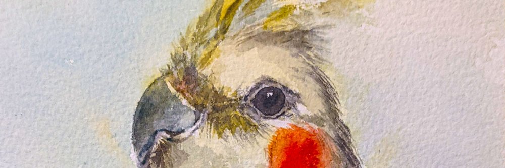 トリノ banner